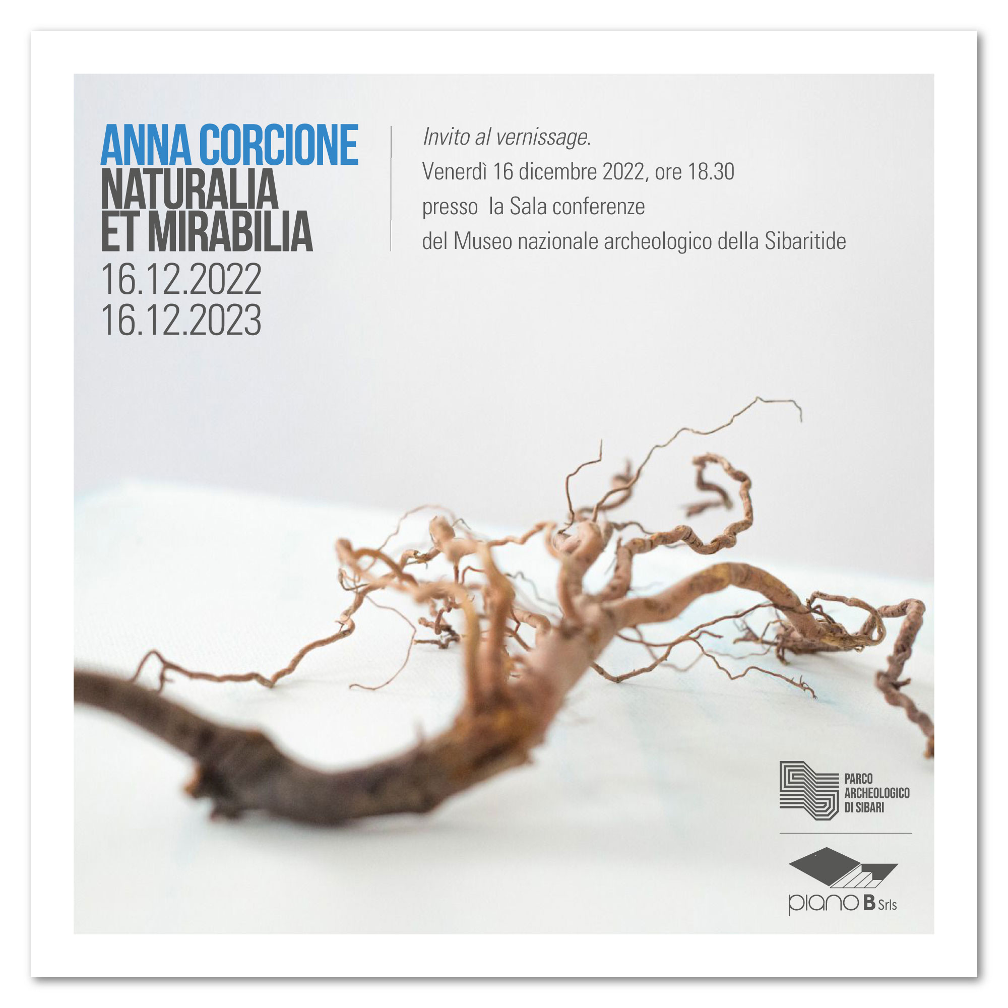 Anna Corcione – Naturalia et Mirabilia